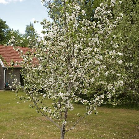 Вилла Gransaeng Loft House Несшё Экстерьер фото